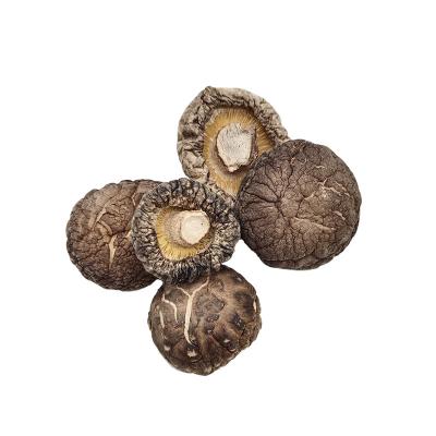 China Gutailang Dried Brand Dried Shiitake Mushroom 1kg Dried Flower Shiitake Mushroom Stem Tea Flower Shiitake Mushroom for sale