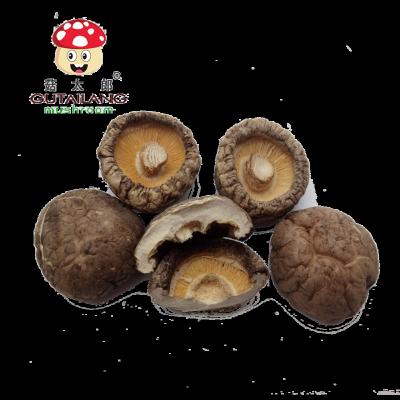 China High Quality Organic Dry Shiitake Mushroom Dried Shiitake Mushroom Dried Food Shiitake Mushroom High Quality Wholesale Price for sale