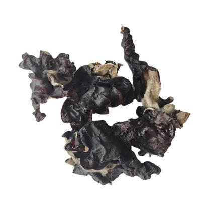 China Large Size Dried Black Mushroom Ear Mushroom Back Price Third Party Ahead Cheap Wooden Black Mushroom Black White Harvest To Vietnam for sale