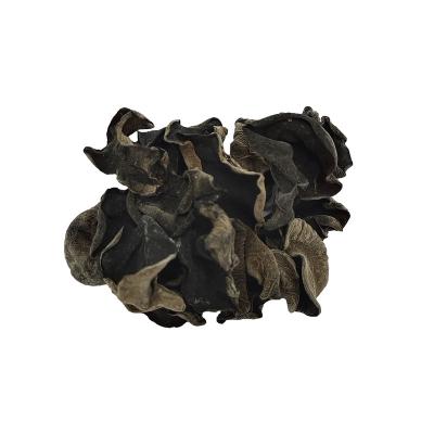 China Healthy Dried Tree Ear Mushrooms Dried Black Fungus Mushroom Dried Small Black Wood Mushroom Ear Agaric Black Mushroom for sale