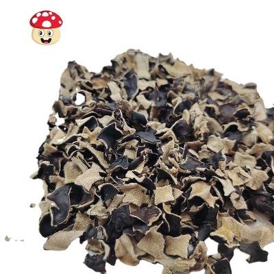 China New Arrival Dry White Back Black Mushroom Die Cut 1*1cm Black Mushroom Mushroom Mushroom Dies / Slice / Wire Black Mushrooms Scatter for sale