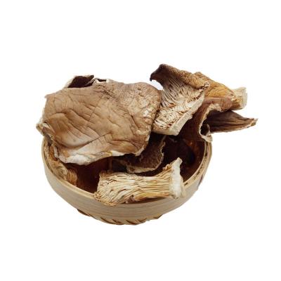 China Gutailang Dried Foods Factory Sell Pleurotus Ostreatus Dried Shiitake Mushroom Dried Oyster Mushroom Slices for sale