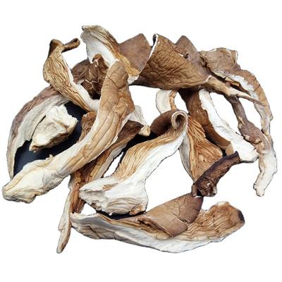 China Factory Price Oyster Mushroom Bulk Pieces Oyster Pleurotus Oyster Mushroom Dry Shiitake Mushroom Pleurotus Ostreatus Shiitake Mushroom for sale