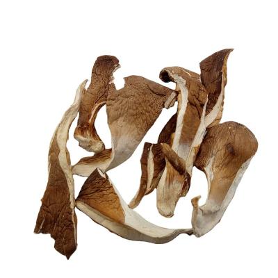 China Hot Selling Dry Gutailang Oyster Mushroom Mushroom Sliced ​​Strip Shiitake Slices Sliced ​​Oyster Mushroom for sale