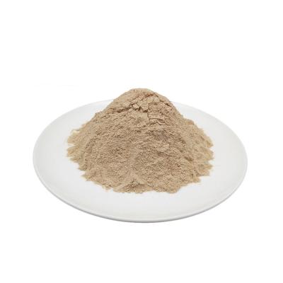 China Shiitake Mushroom Powder Factory Wholesale 100% Pure Dry Hot Selling Organic Mushroom Powder for sale