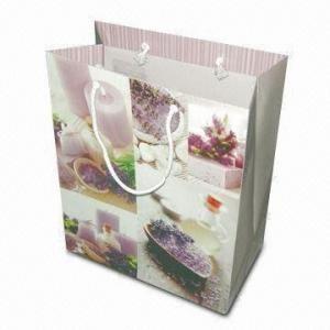 China fashion paper bag for sale