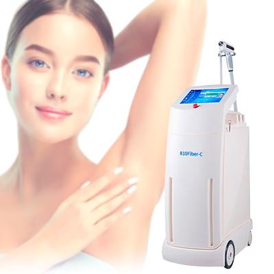 China Whitening Top China Pain Free 810nm Fiber Laser Facial Hair Removal Epilation Machine China for sale