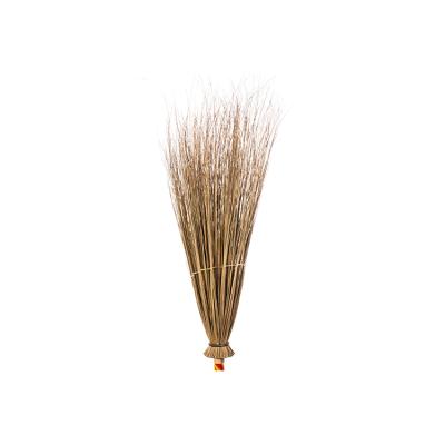 China Outdoor door sanitation grass brushes hot-selling products for sale