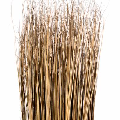 China Favorable Door Garden Broom Grass Broom Raw Material Price for sale