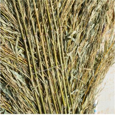 China Outdoor Wholesale Bamboo Brooms, Road Hygiene Cleaning Bamboo Broom for sale