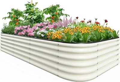 China 8*3.5*1.5Ft Ivory White Oval Galvanized Raised Garden Beds Outdoor Custom Logo for sale