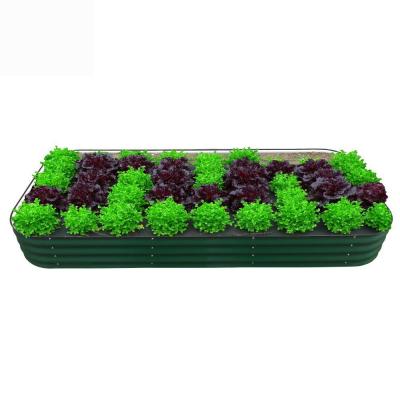 China Double Layer Galvanized Raised Garden Bed Kit 6.4*3.4*0.92Ft Galvanized Oval Raised Bed for sale