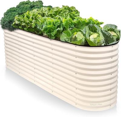 China 7.9x2x2.7Ft Metal Oval Garden Bed Galvanised Vegetable Planters Ivory White for sale