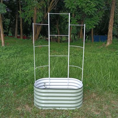 China Trellis de pepino de jardim grande H forma 6ft de altura para suporte de plantas de escalada à venda