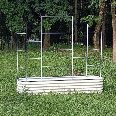 China Trellis de pepino de metal moderno para plantas de escalada ao ar livre 8ftx6ft à venda