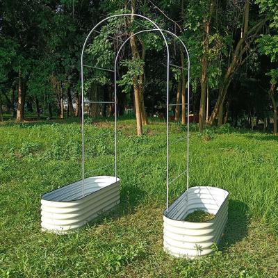 China Sturdy  Outdoor Garden Metal Trellis For Cucumbers 3 Ft×8 Ft  Rustproof for sale