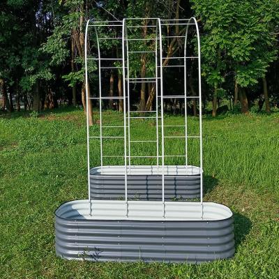 China 6ft Tall Pea Tunnel Metal Garden Arch Trellis Cucumber Raised Bed Trellis Rustproof for sale