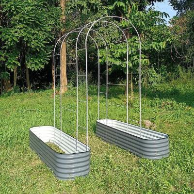 China 6ftx8ft Arch Cucumber Trellis Detachable Metal Garden Trellis U-Shape for sale