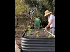 6.5ft*6ft  cucumber metal trellis  for raised bed metal garden trellis  ivory white
