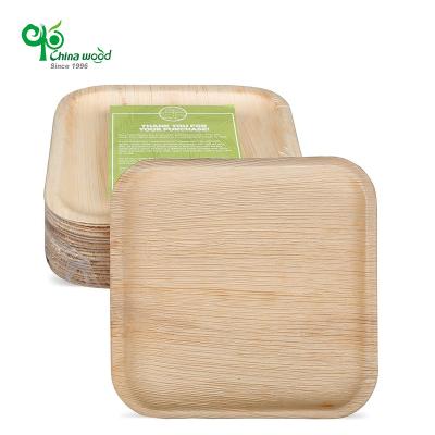 China Disposable Palm Plates Disposable Biodegradable Dishes Approved Disposable Biodegradable Palm Leaf Square Plat for sale