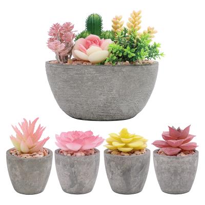 China Bohemian Set of 5 Realistic Colorful Fake Succulents with Pulp Pots for Home Office Decoration for sale