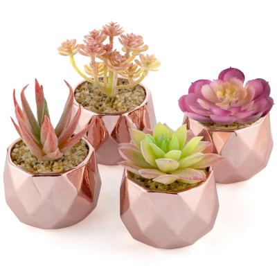 China Bohemian Artificial Pink Succulent Plants in Rose Gold Mini Ceramic Pots for sale