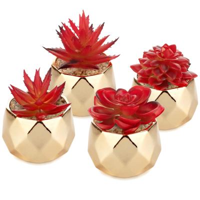 China Bohemian Artificial Red Succulent Plants in Gold Mini Ceramic Pots Home Decor for sale