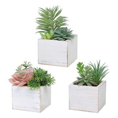 China 3pcs/set Rustic Mini Assorted Green Faux Succulents in Wooden Pots for Home Office Table Desk Decor for sale