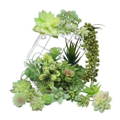 China Hot Sale Rustic Various Mini Decorated Plastic Artificial Succulent Plants Layout For Home Decoration for sale