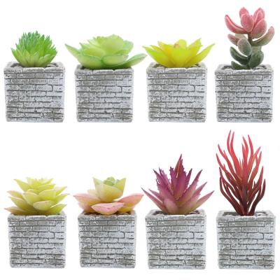 China New Transitional PC02 Originally Designed Artificial Succulents With Resin Pots for sale