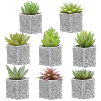 China PC08 Rustic New Originally Designed Artificial Succulents With Resin Pots for sale