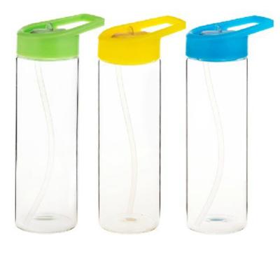 China Sustainable Wide Mouth Borosilicate Glass Water Bottle With Straw for sale