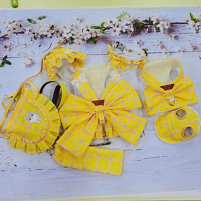 China Cat Dog Apparel Small Large Mesh Luxury Spring Pet Dogs Sustainable Summer Clothes With Leash Set for sale