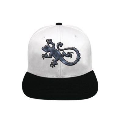 China Creative Design Flat Brim Snapback Hats Cloth Embroidery On Panels for sale