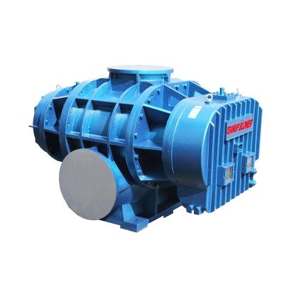 China High Efficiency Small Efficient Roots Blower Compact Lightweight Efficient Suitable For Machinery Textile And Other Industries. for sale