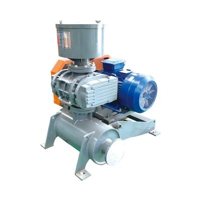 China Industrial Low Noise Rotary Blower High Wind Structural Stability Blower Mini Sewage Treatment Aeration For Aquaculture Pneumatic Conveying for sale