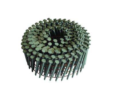 China Flat best quality special stainless steel coil nail with best price for sale