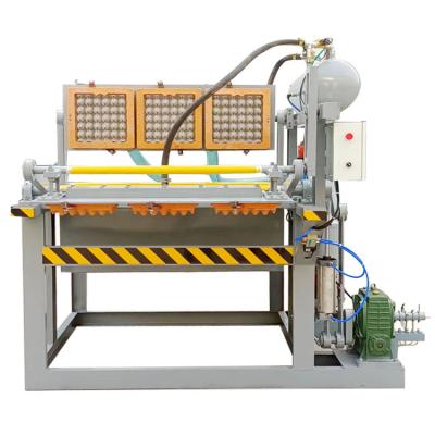 China Industrial Equipments And Parts 5X12 Egg Tray Machine For High Output And Stable Operation for sale