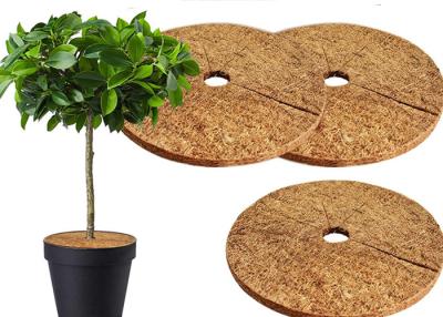 China 100% Natural Coconut Fibers Round Mulch Ring For Garden for sale