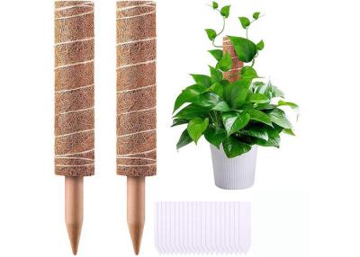 China Climbing Plants Coconut Coir Poles For Plant Growth for sale