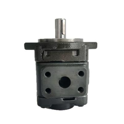 China Cast Iron Hg Series High Quality Design Fixed Displacement Intermittent Compensation Internal Gear Pump for sale