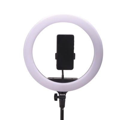 China Popular Chinese Hot Adjustable Beauty LED Dimmable Circle Ring Light Fashion Sale Dimmable Ring Light for Makeup youtube blogger for sale