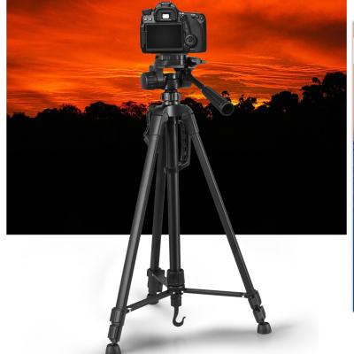 China WT-3520 3 Section Mini Extendable Tripod Digital Camera Tripod Tripod Mount for tik tok for sale