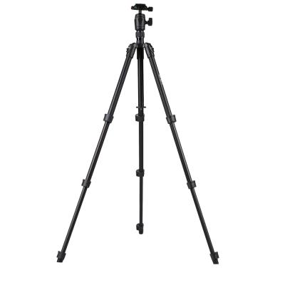 China Professional WT6011 Weifeng Camera Tripod Aluminum Tripod Stand with Ball Head for Camera for sale