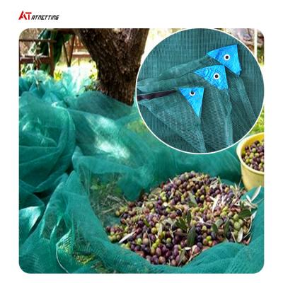 China Olive Collection 100% HDPE olive green net netting for olive and agro olive harvest for sale