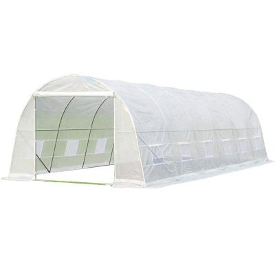 China HOT Stable Plastic Greenhouse Agriculture Multi-span Greenhouse Tunnel Structure Glass Greenhouse for sale