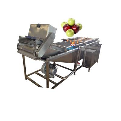 China Air bubble washing sweep garlic peeling machine garlic remover cleaning machine for sale for sale