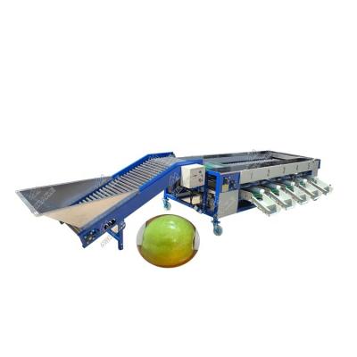 China Fruit Processing Plant Rolling Sorter For Tomato Potato Dimension Sorter for sale