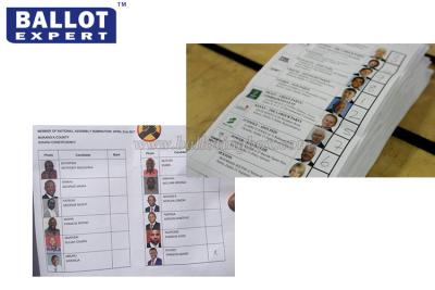 China Disposable 70g Voting Ballot Paper Color Customized For Election Campaign for sale