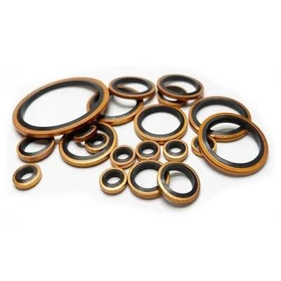 China Combining Flat Washer Gasket NBR FKM Metal Flat Rubber Sealing Washers for sale